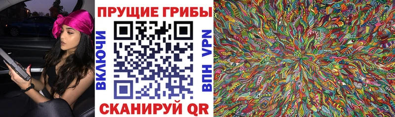 Галлюциногенные грибы мицелий  mega как войти  Воркута 