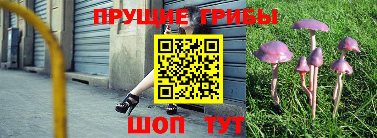 цена   Воркута  Псилоцибиновые грибы Cubensis  Галлюциногенные грибы прущие грибы 