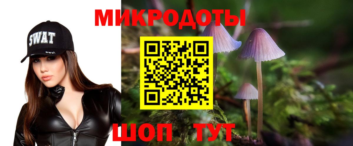 Воркута  Псилоцибиновые грибы ЛСД  Псилоцибиновые грибы прущие грибы  Вход с VPN 